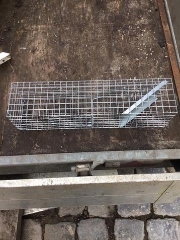 Rattenvallen new 20 stuks beschikbaar ratten rat, Enlèvement ou Envoi, Neuf