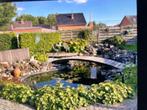 Een tuin vijver, Ophalen