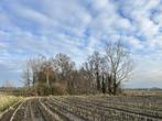 Boerderij te koop in Oudegem, Overige soorten