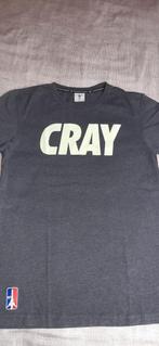 T-shirt gris de la marque Caylor & Sons taille medium, Caylor & sons, Taille 48/50 (M), Porté, Enlèvement