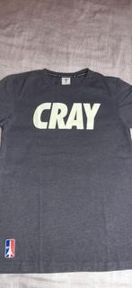 t shirt grijs merk caylor& sons maat medium, Ophalen, Maat 48/50 (M), Grijs, Gedragen
