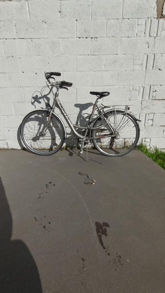 Damesfiets Norta, Fietsen en Brommers, Fietsen | Dames | Damesfietsen, Gebruikt, Versnellingen, Ophalen