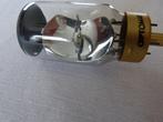 projector lamp, Ophalen of Verzenden, Nieuw