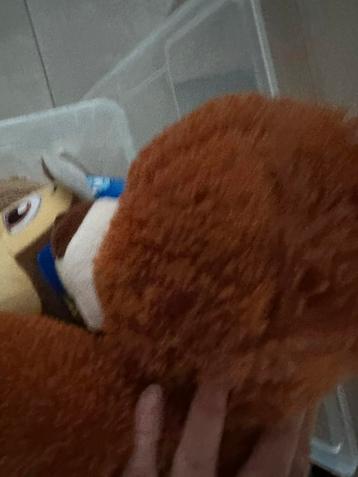 Knuffels beschikbaar voor biedingen