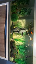 Visbak fluval sirca 120L, Dieren en Toebehoren
