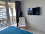 Location saisonnière panne, Immo, 35 à 50 m², Province de Flandre-Occidentale