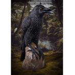Corbeau nocturne mystique géant — Corbeau 99 x 53 x 149 cm, Collections, Collections Animaux, Enlèvement, Neuf
