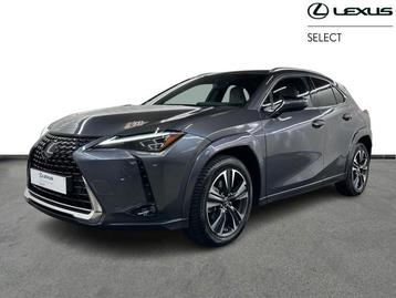 Lexus UX 250h Privilege Line & Mark Levinson  beschikbaar voor biedingen