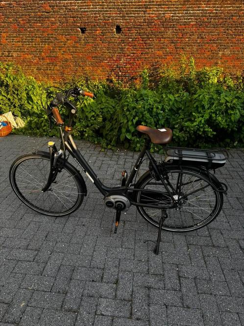 RAMOS-E-BIKES, Fietsen en Brommers, Elektrische fietsen, Zo goed als nieuw, Ophalen of Verzenden