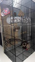 Cage, Dieren en Toebehoren, Ophalen of Verzenden