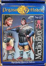 Viking warrior IX-X C. (54-137; Pegaso models), Hobby en Vrije tijd, Modelbouw | Figuren en Diorama's, Ophalen of Verzenden, Zo goed als nieuw