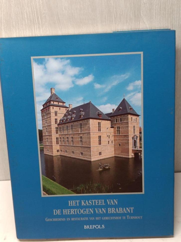 Het kasteel van de hertogen van brabant turnhout gerechtsgeb, Boeken, Geschiedenis | Stad en Regio, Zo goed als nieuw, Ophalen of Verzenden