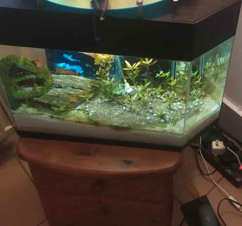 Aquarium de coin 40 litres, Dieren en Toebehoren, Vissen | Aquaria en Toebehoren, Zo goed als nieuw, Ophalen