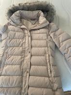 Winterjas van Tommy Hilfiger maat M, Ophalen, Maat 38/40 (M)