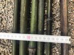 bamboestokken van > 300 cm lang en minstens een duim dik, Nieuw, Ophalen