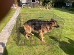 Cage pour grand chien 80X120