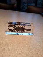 schorpioen in plastic, Verzamelen, Overige Verzamelen, Ophalen of Verzenden, Zo goed als nieuw