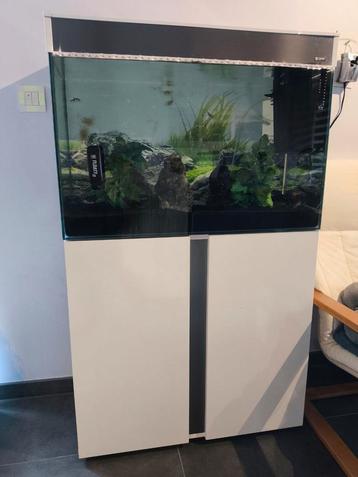 Aquarium Ciano complet avec meuble beschikbaar voor biedingen