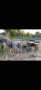 Pony koets, Dieren en Toebehoren, Rijtuigen en Koetsen, Zo goed als nieuw, Pony
