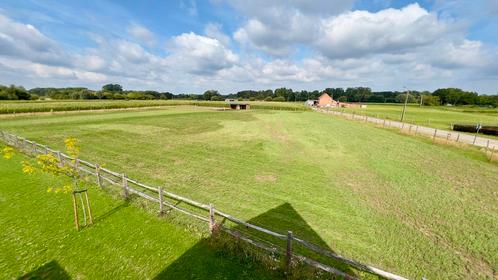 Weide te huur (2x) in Rijmenam, Dieren en Toebehoren, Stalling en Weidegang, Stalling, Weidegang, 4 paarden of pony's of meer