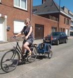Hondenfietskar medium, Dieren en Toebehoren, Honden-accessoires, Ophalen, Zo goed als nieuw