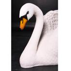 Swan beeld – Zwaan Lengte 143 cm, Nieuw, Ophalen of Verzenden