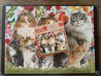 Jumbo puzzel 950 stukjes - katten, Ophalen of Verzenden, Zo goed als nieuw