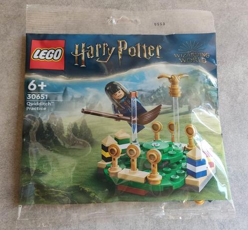 lego harry potter 30651 zwerkbal training, Kinderen en Baby's, Speelgoed | Duplo en Lego, Nieuw, Lego, Complete set, Ophalen of Verzenden