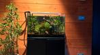Aquarium met vissen te koop + stevig kastje, Dieren en Toebehoren, Ophalen, Gebruikt, Verlichting of Verwarming