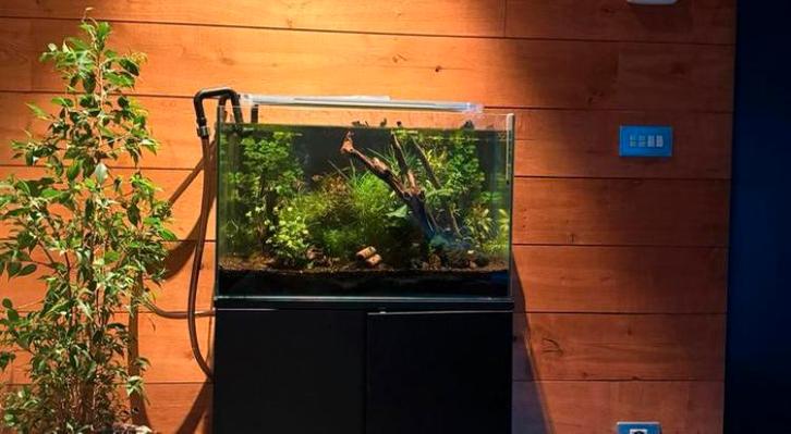 Aquarium met vissen te koop + stevig kastje, Dieren en Toebehoren, Vissen | Aquaria en Toebehoren, Gebruikt, Verlichting of Verwarming