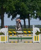 Spring ruiter aangeboden, Dieren en Toebehoren, Meerdere dieren, Springpony, Gechipt