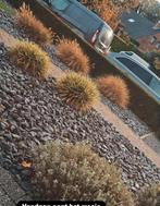 Gratis keien, Tuin en Terras, Ophalen