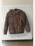 Meisjes Jas 146, Kinderen en Baby's, Kinderkleding | Maat 146, Ophalen, Meisje, Jas