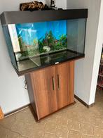 aquarium merk juwel te koop, Dieren en Toebehoren, Ophalen of Verzenden, Zo goed als nieuw