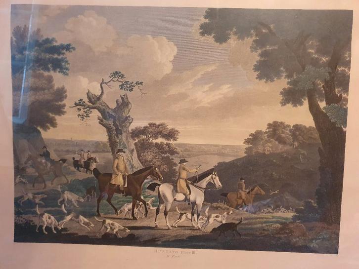 Grandes gravures encadrées, Collections, Photos & Gravures, Utilisé, Gravure, Nature, Avant 1940, Enlèvement