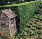 Tuinonderhoud, Tuin en Terras, Ophalen