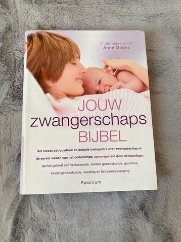 Zwangerschapsboek: Jouw zwangerschapsbijbel 