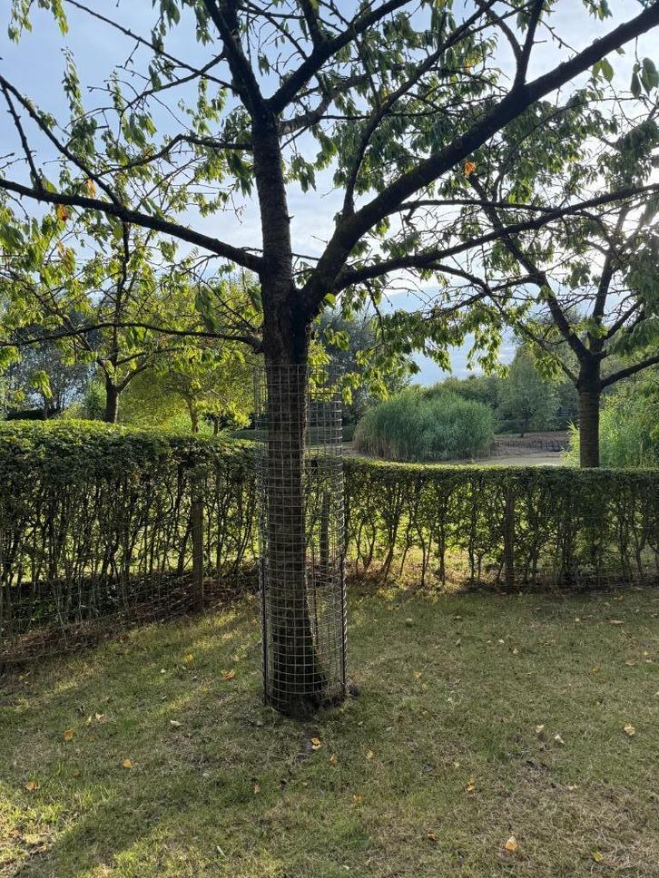 Boomkorven / boombescherming - 30 stuks, Tuin en Terras, Overige Tuin en Terras, Zo goed als nieuw, Ophalen