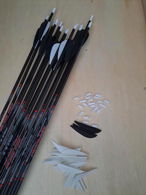 Avalon Tyro Spine 900 gemonteerde pijlen x15, Sport en Fitness, Handboogschieten, Zo goed als nieuw, Pijlen, Ophalen of Verzenden