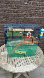 Cage pour rongeurs/cage pour hamsters, Ophalen, Zo goed als nieuw, Kooi