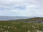 Geweldig aanbod voor een groot Perceel aan Fjord in Noo, Immo, Étranger, Terrain ou Parcelle, Europe autre, Campagne