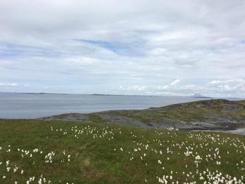 Geweldig aanbod voor een groot Perceel aan Fjord in Noo disponible aux enchères