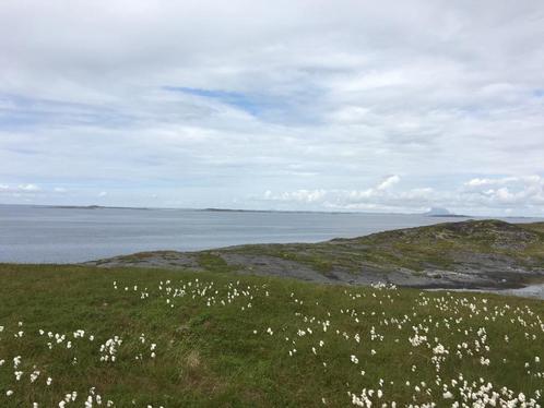 Geweldig aanbod voor een groot Perceel aan Fjord in Noo, Immo, Étranger, Europe autre, Terrain ou Parcelle, Campagne