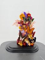 Opgezette Vlinders in Glazen Stolp - Wildernis Atelier, Verzamelen