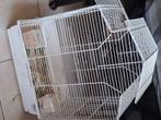 Kleine kooi gratis, Dieren en Toebehoren