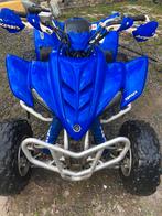 Quad raptor 350 2004, Motoren, 350 cc, 1 cilinder