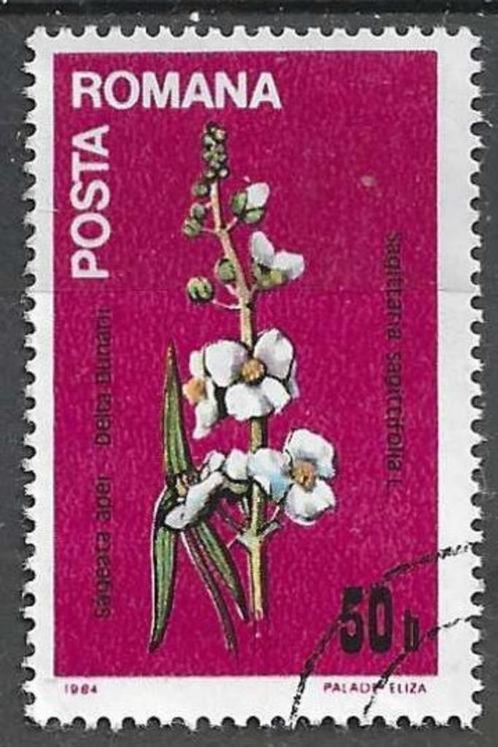 Roemenie 1984 - Yvert 3501 - Sagittaria sagittifolia (ST), Postzegels en Munten, Postzegels | Europa | Overig, Gestempeld, Overige landen