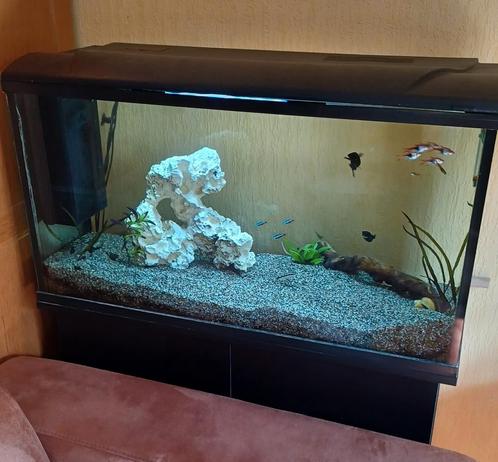 Aquarium HS aqua platy 110 et accessoires + meuble noir, Dieren en Toebehoren, Vissen | Aquaria en Toebehoren, Gebruikt, Ophalen
