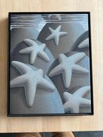 Laurens Legiers 'Resting Sea Stars' 2020, Antiek en Kunst, Ophalen