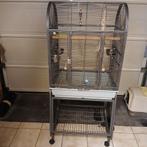Cage pour perruches ou perroquets, Animaux & Accessoires, Oiseaux | Perruches & Perroquets, Perroquet